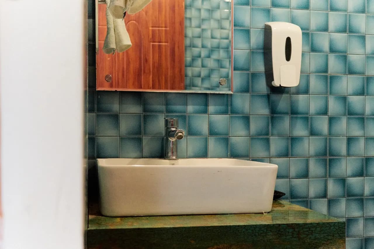 Raja Ji Delight gallery 11