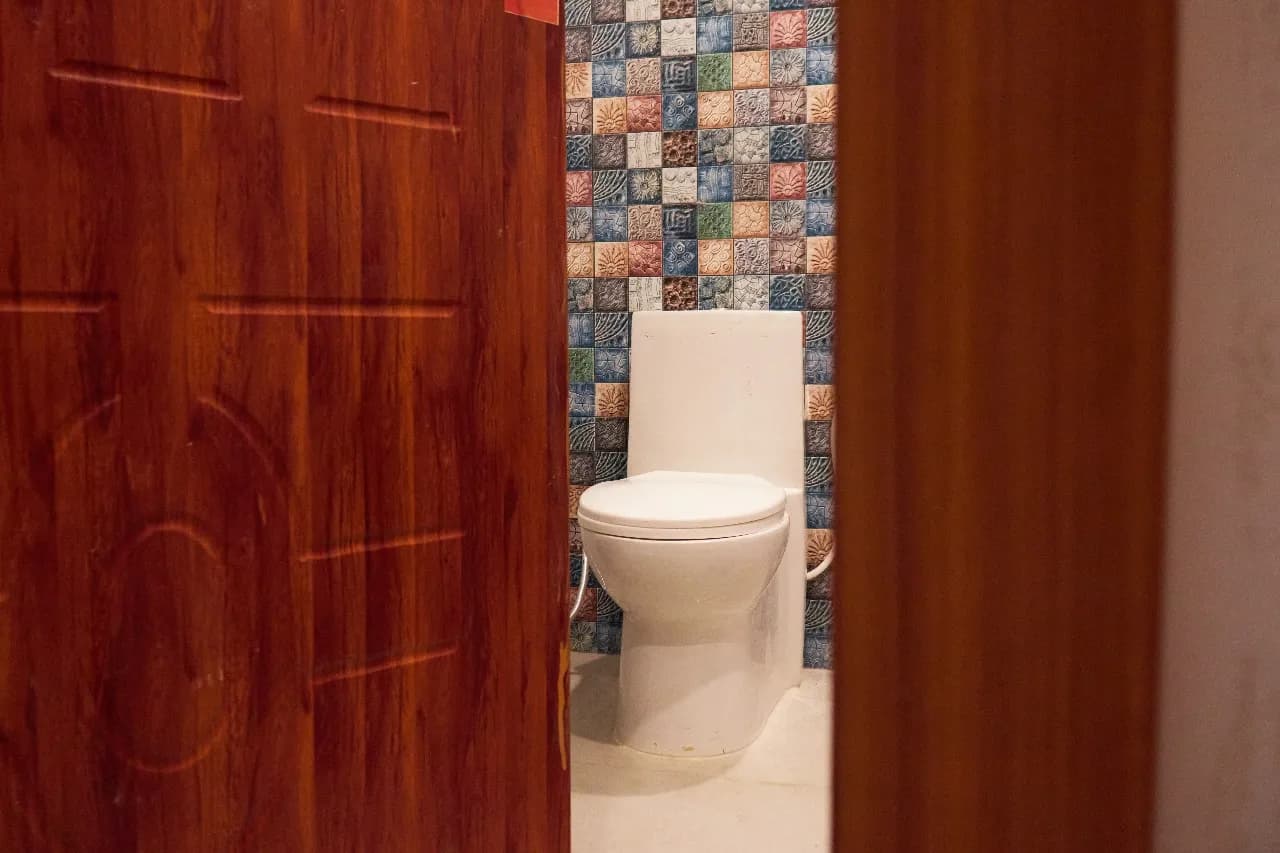 Raja Ji Delight gallery 12