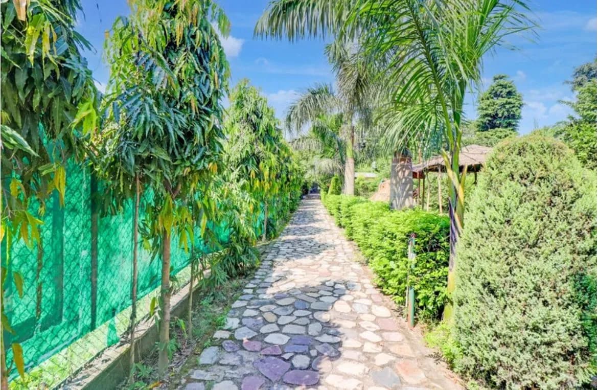 Raja Ji Wild Trail gallery 7